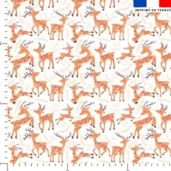 Renne folk - Fond blanc
