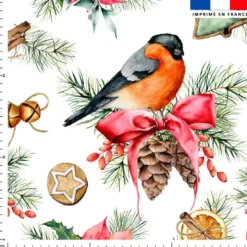 Rouge gorge et bougie de noel - Fond blanc