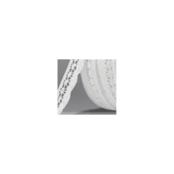 Ruban de dentelle coton blanc 20mm