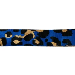 Sangle léopard 38mm bleu roi et ocre