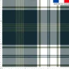 Tartan bleu et blanc