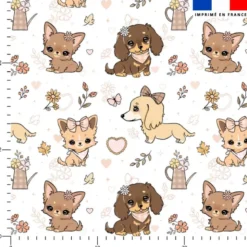 Teckels et chihuahuas - Fond blanc - Création Jolifox