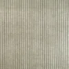 Tissu velours côtelé beige