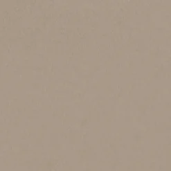 Toile coton demi-natté beige naturel