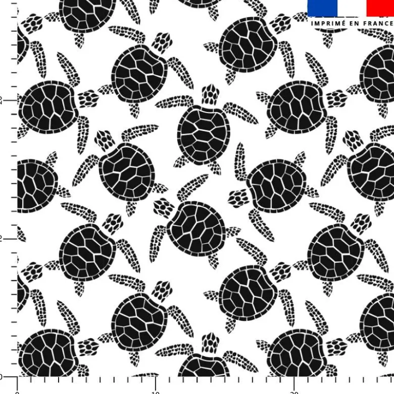 Tortue de mer noire - Fond blanc