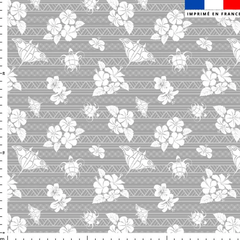 Tortue et raie maori - Fond gris