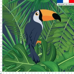 Toucan et feuille tropicale - Fond vert