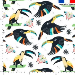 Toucan et papillon - Fond blanc