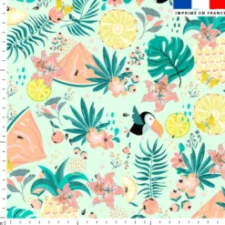Toucan et pastèque tropicale - Fond vert d'eau