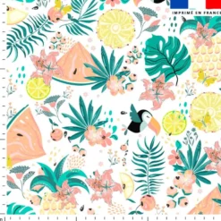 Toucan et pastèque tropicale - Fond blanc