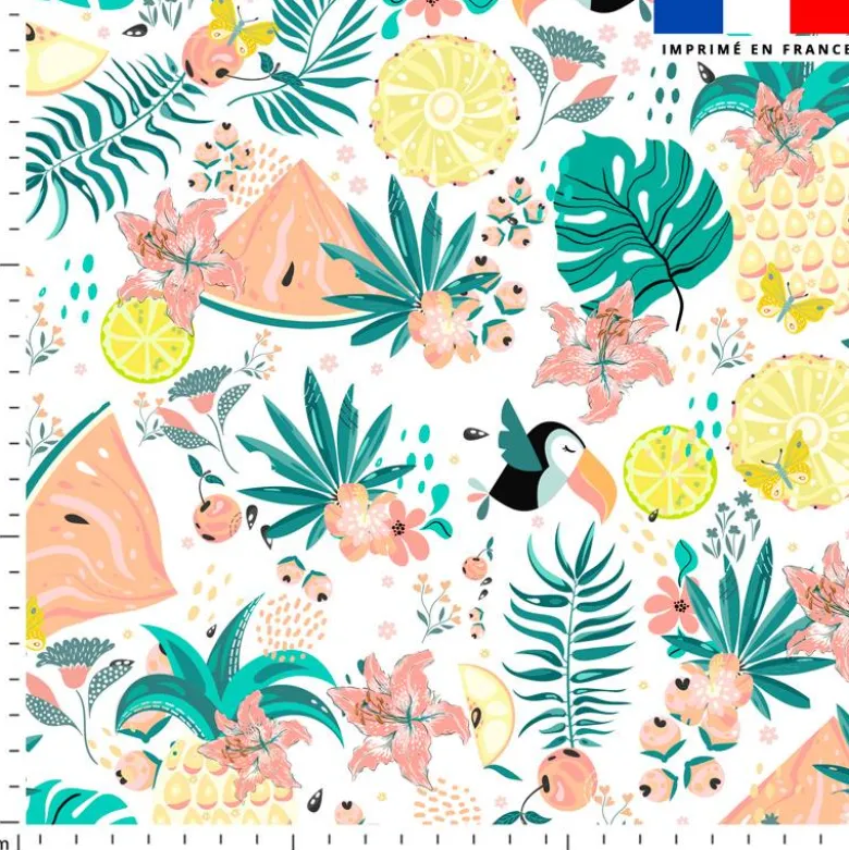 Toucan et pastèque tropicale - Fond blanc