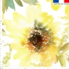 Tournesol aquarelle - Fond blanc