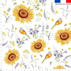 Tournesol et oiseau - Fond blanc