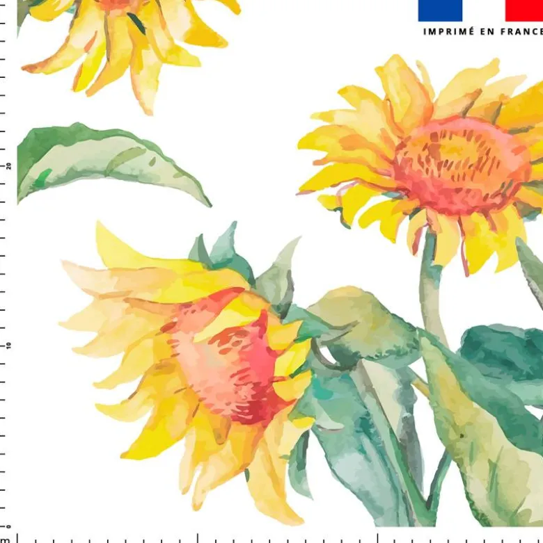 Tournesol - Fond blanc