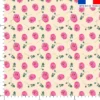Tulipe rose et pétale - Fond crème
