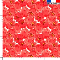 Tulipes rouges - Fond blanc