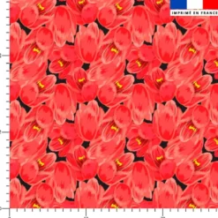 Tulipes rouges - Fond noir