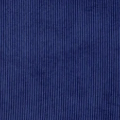Velours côtelé bleu