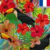 Velours ras bleu turquoise imprimé hibiscus et toucan