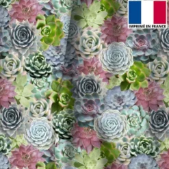 Velours vert motif plante grasse